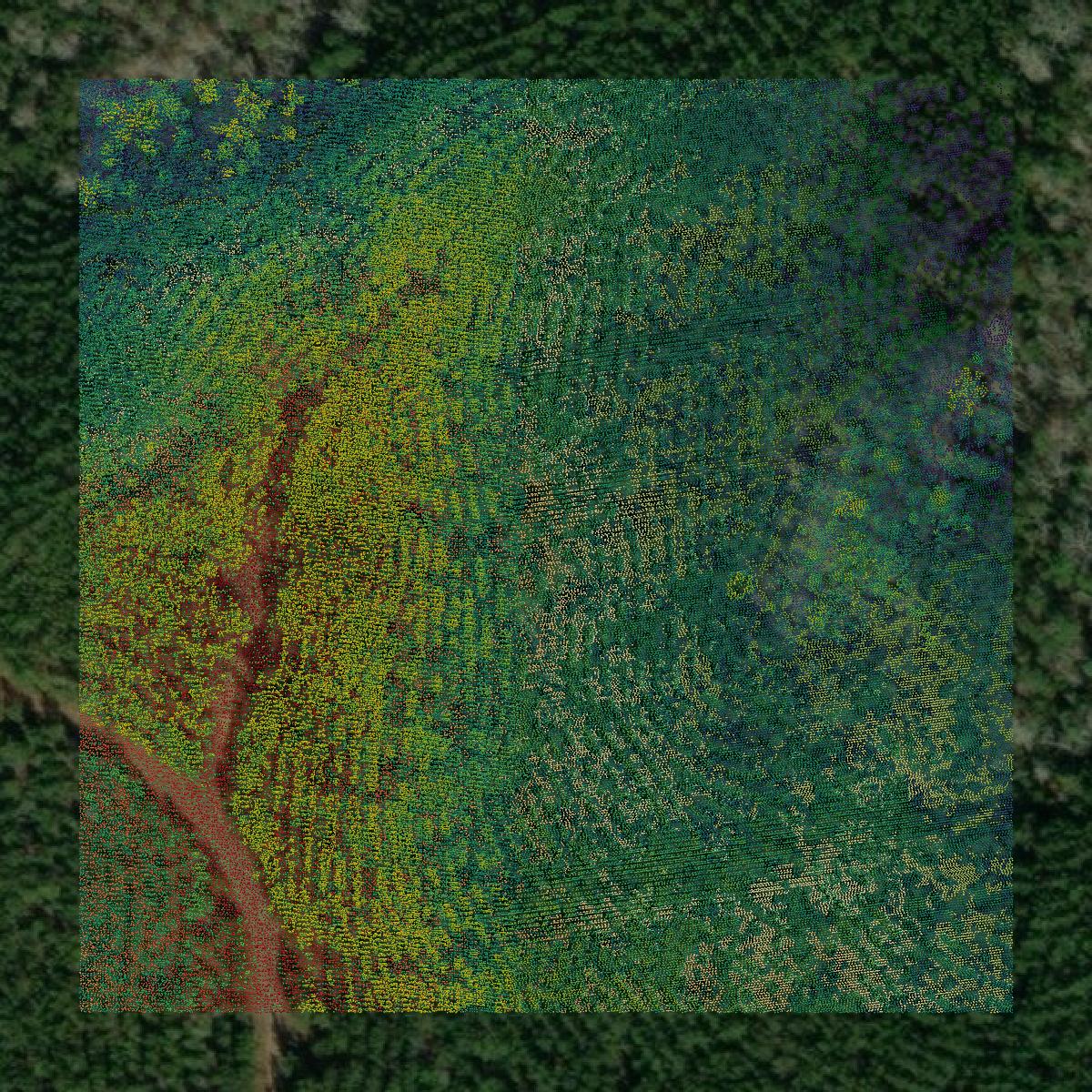 This image shows a LiDAR point cloud in Shelby County created using GIS data in Equator.