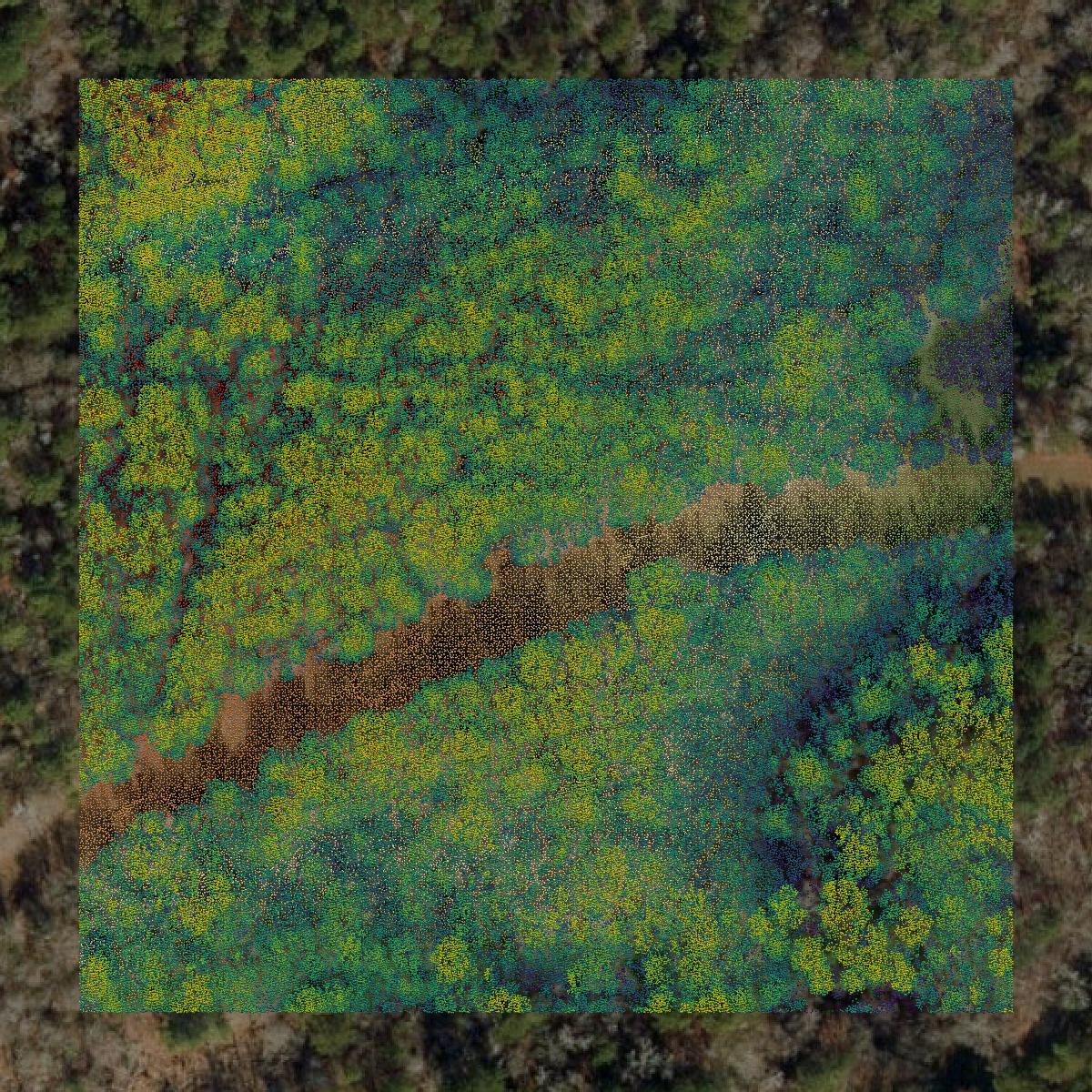 This image shows a LiDAR point cloud in Smith County created using GIS data in Equator.