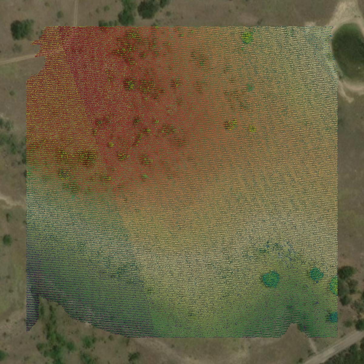 This image shows a LiDAR point cloud in Somervell County created using GIS data in Equator.