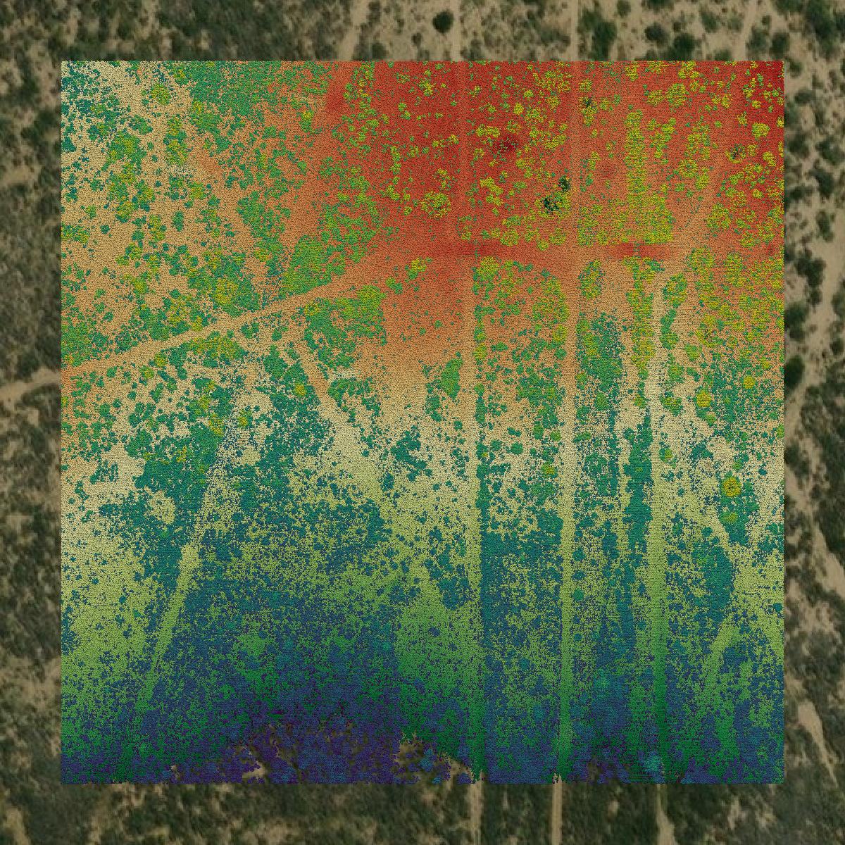 This image shows a LiDAR point cloud in Starr County created using GIS data in Equator.