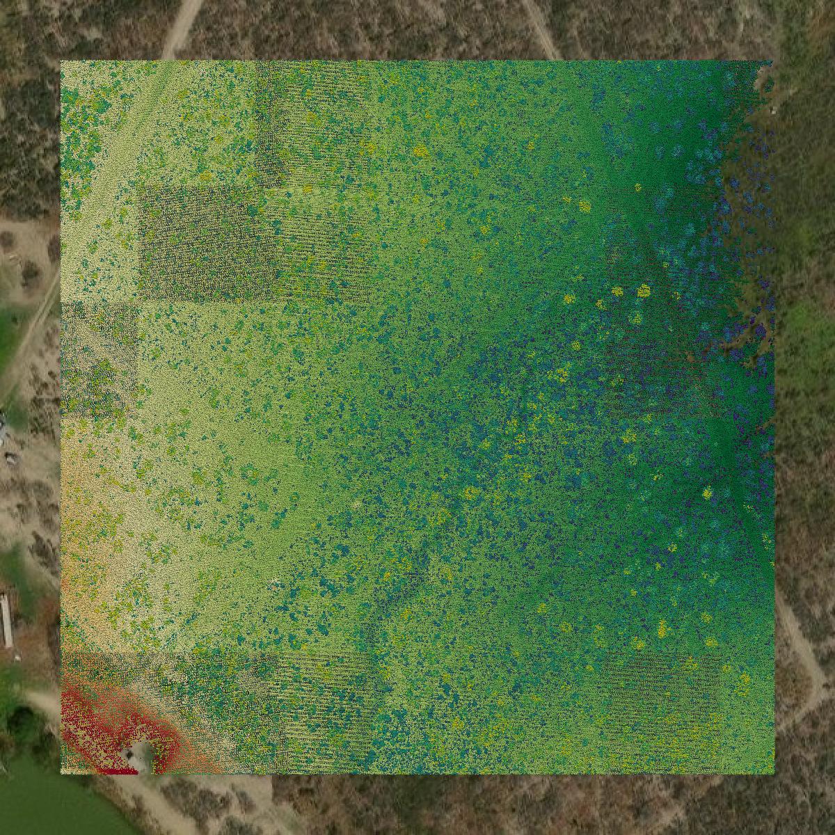 This image shows a LiDAR point cloud in Starr County created using GIS data in Equator.