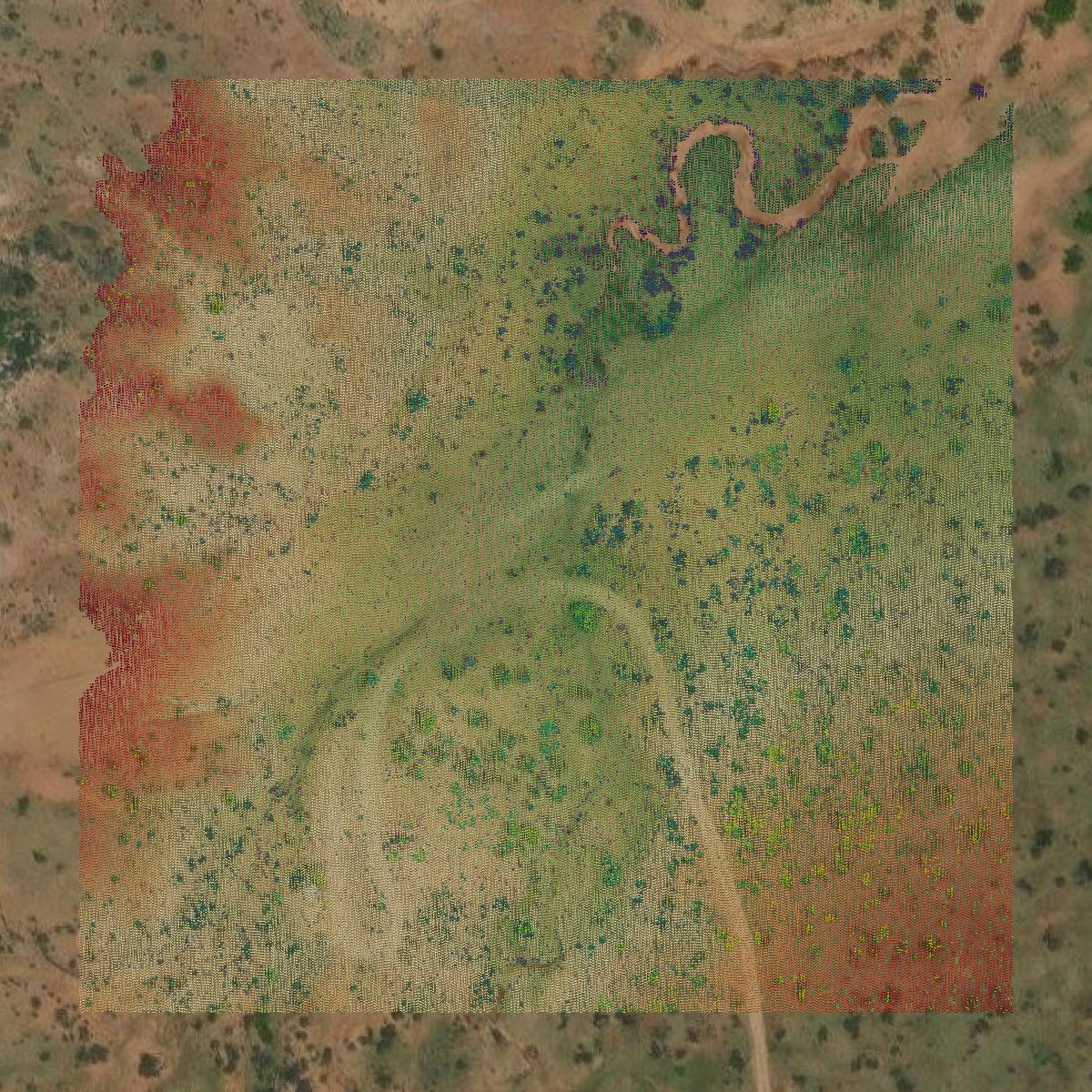 This image shows a LiDAR point cloud in Stephens County created using GIS data in Equator.