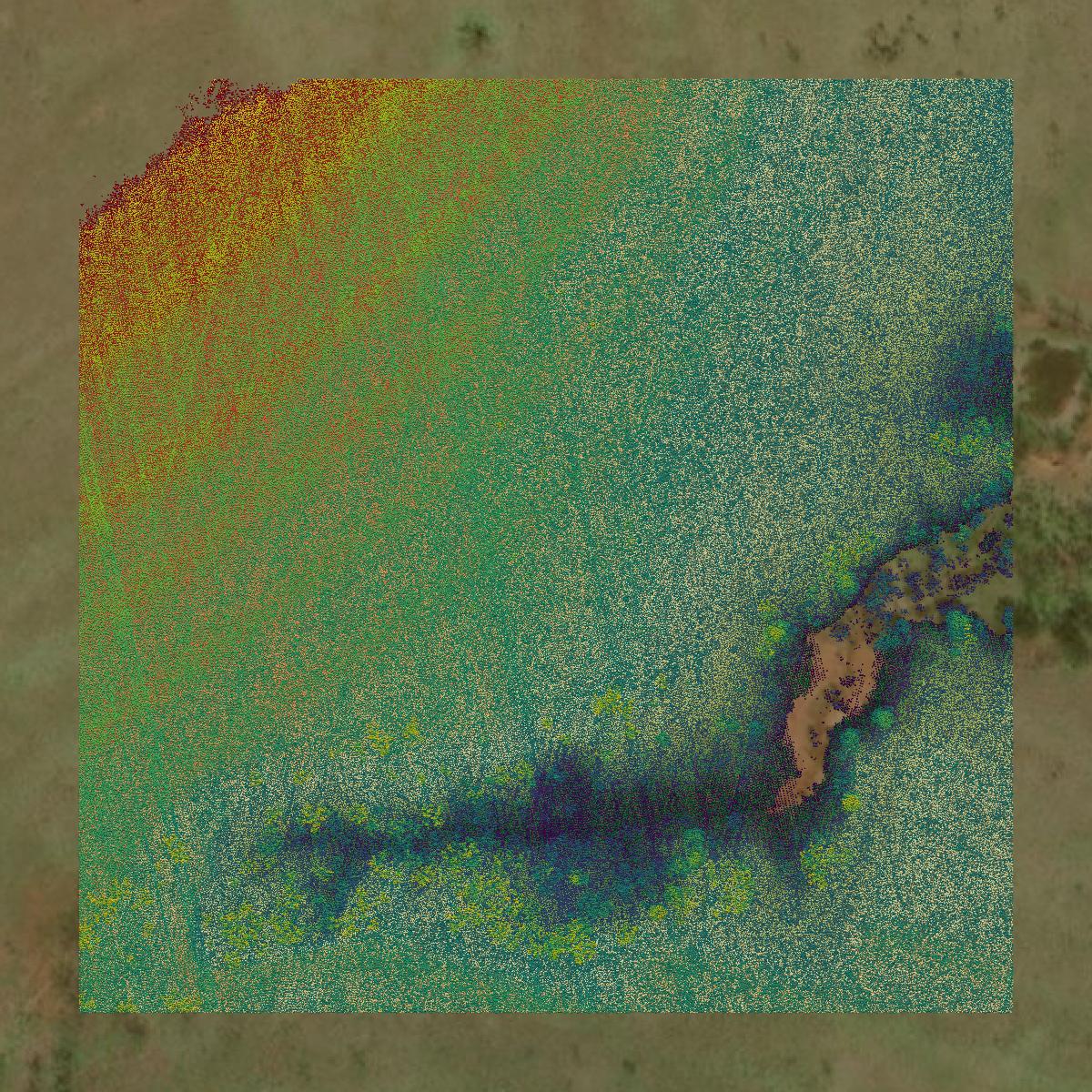 This image shows a LiDAR point cloud in Stonewall County created using GIS data in Equator.