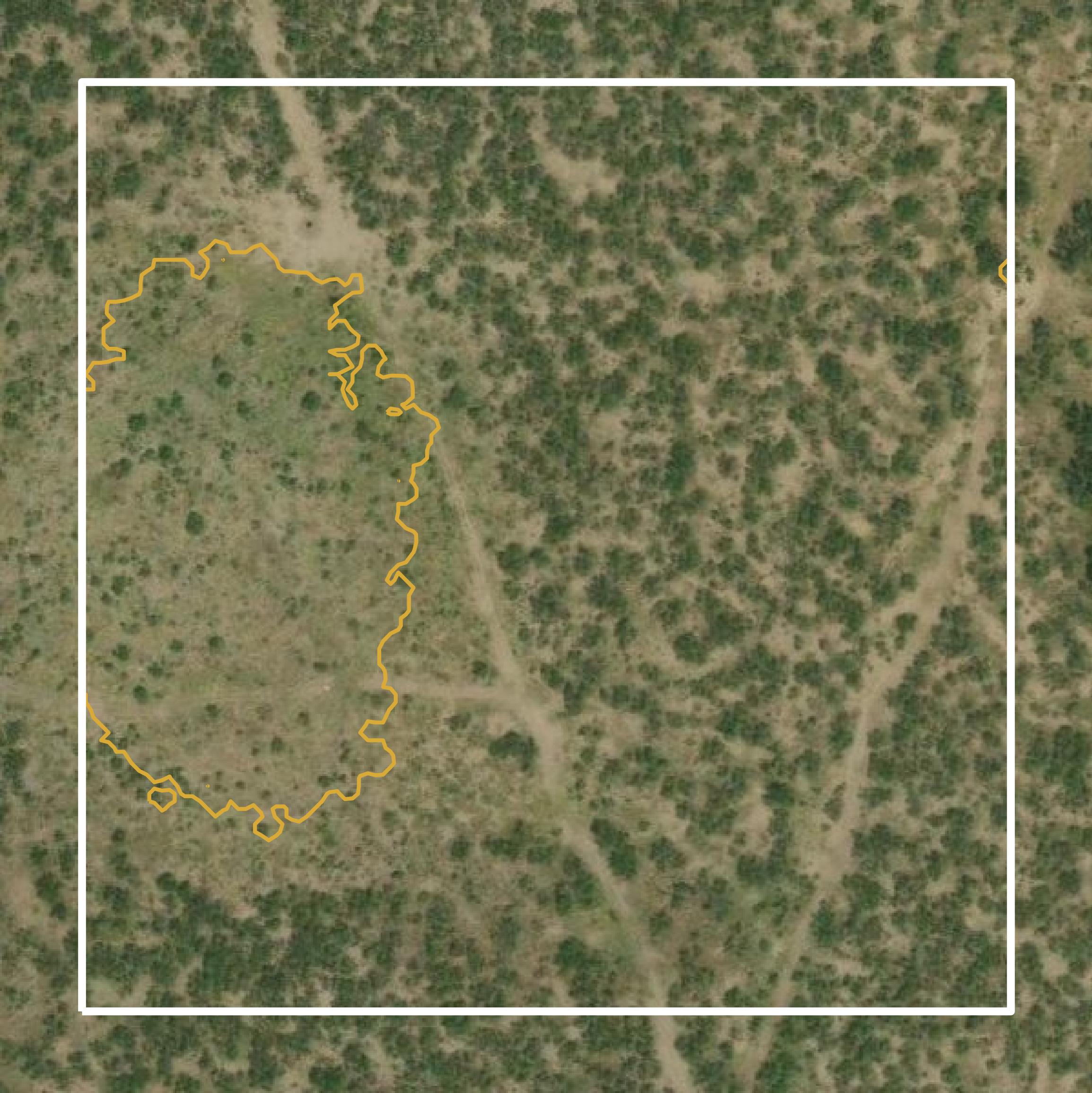 This image shows a contour map in Sutton County created using GIS data in Equator.