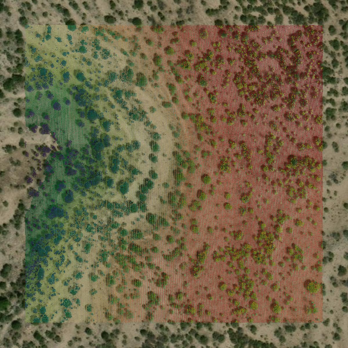 This image shows a LiDAR point cloud in Sutton County created using GIS data in Equator.