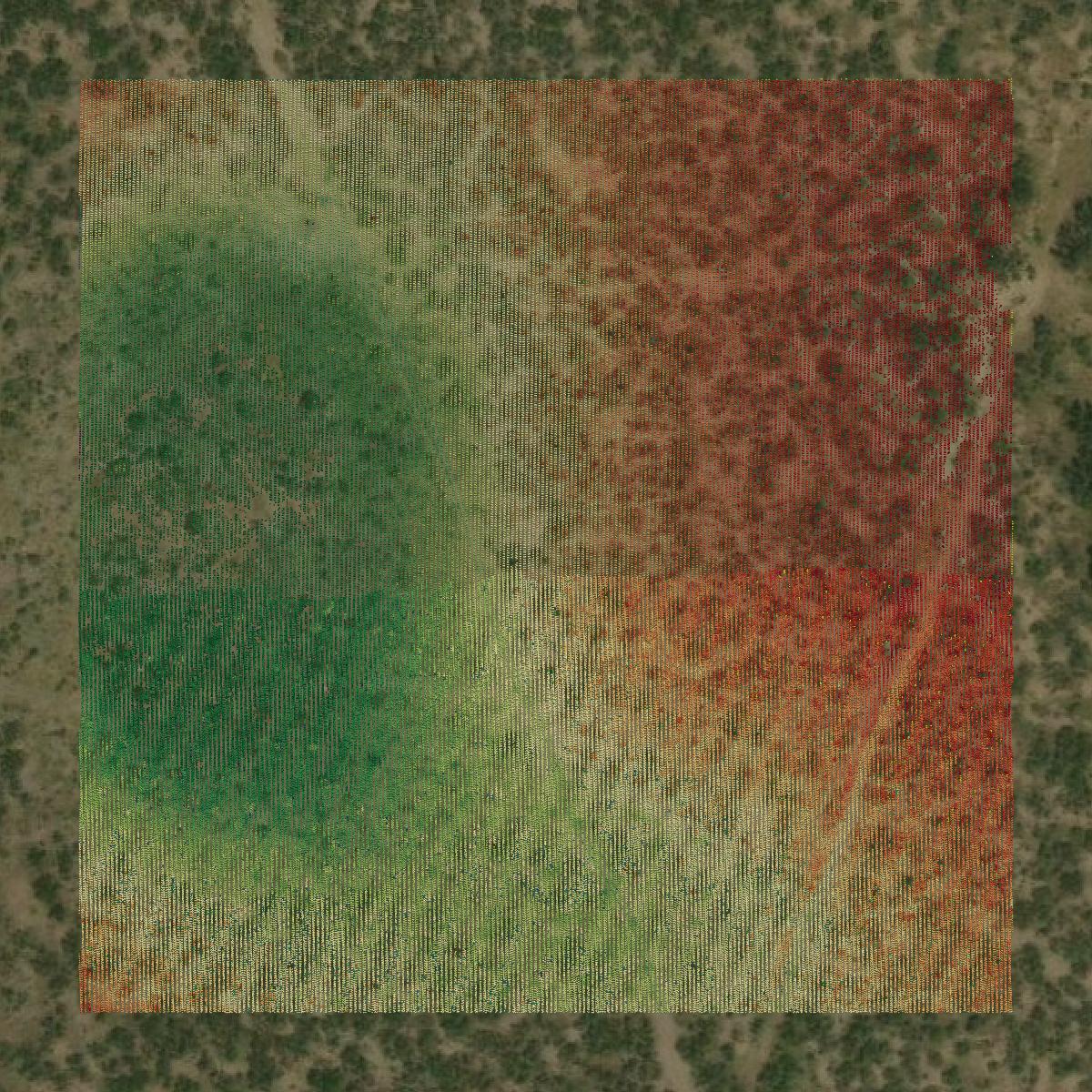 This image shows a LiDAR point cloud in Sutton County created using GIS data in Equator.