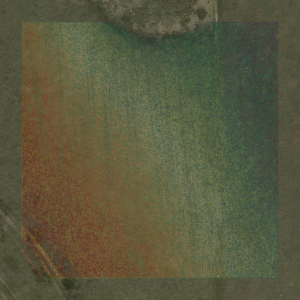 This image shows a LiDAR point cloud in Swisher County created using GIS data in Equator.