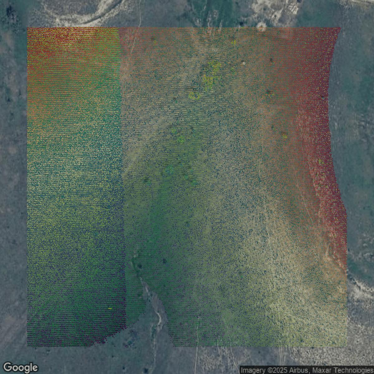 This image shows a LiDAR point cloud in Tarrant County created using GIS data in Equator.