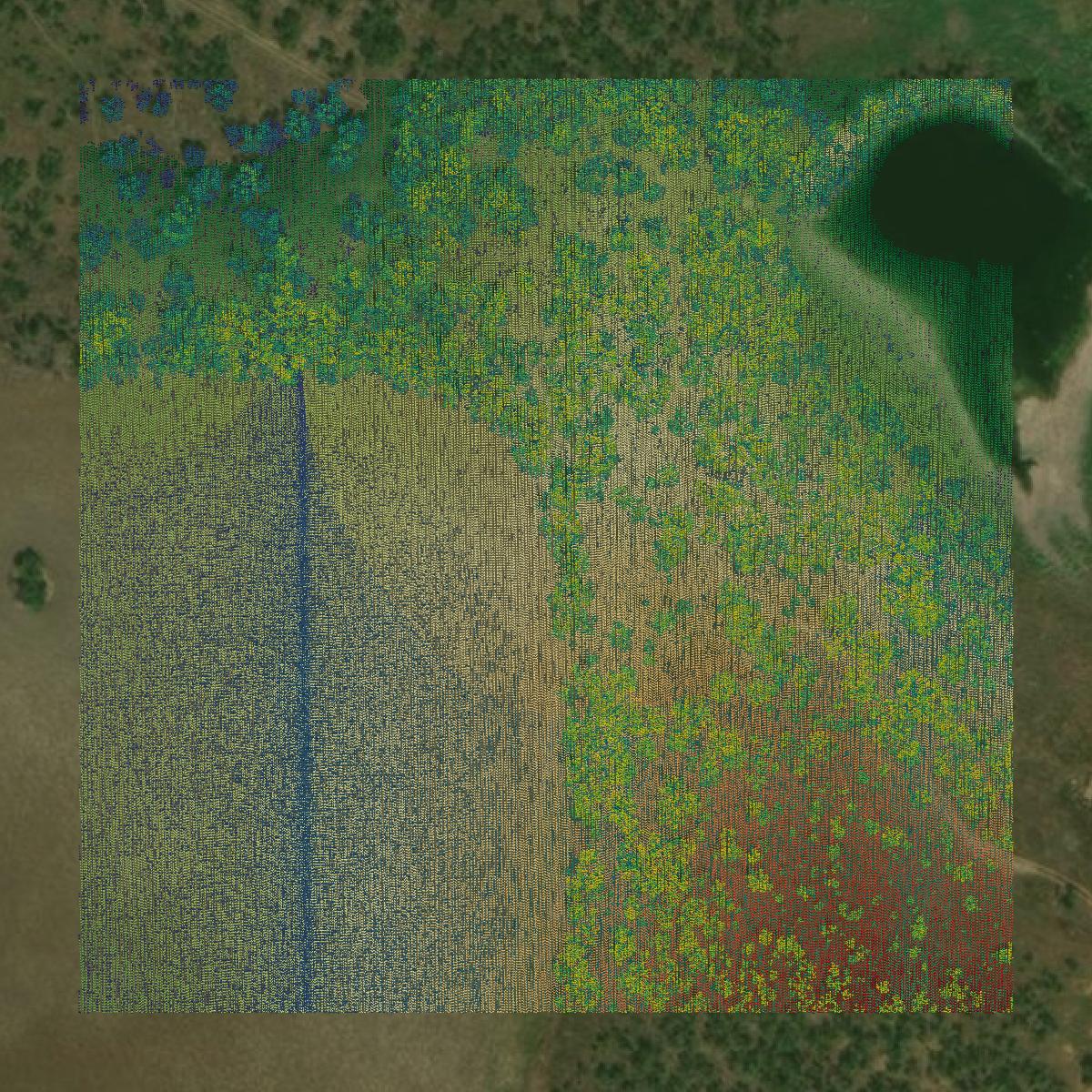 This image shows a LiDAR point cloud in Taylor County created using GIS data in Equator.