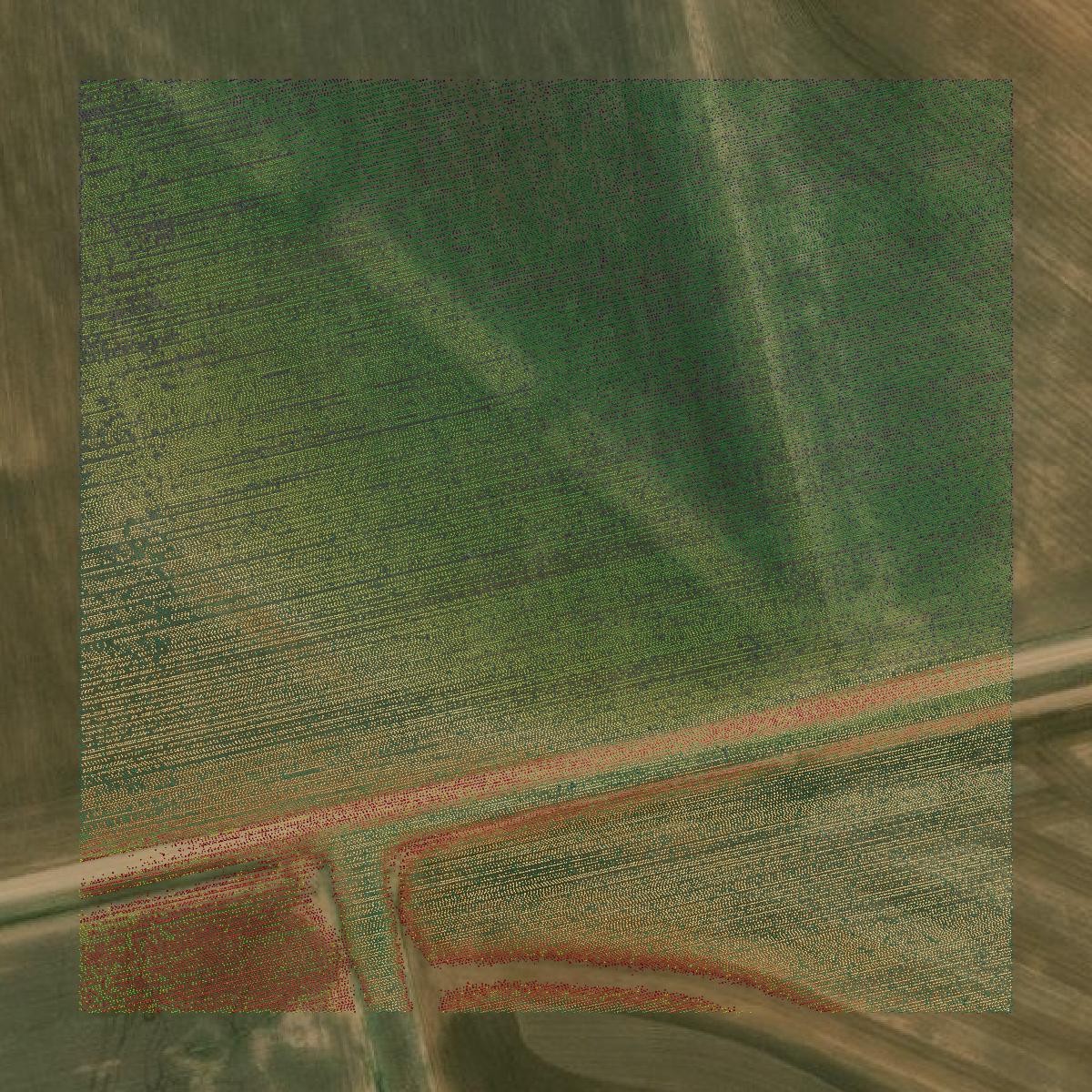 This image shows a LiDAR point cloud in Taylor County created using GIS data in Equator.