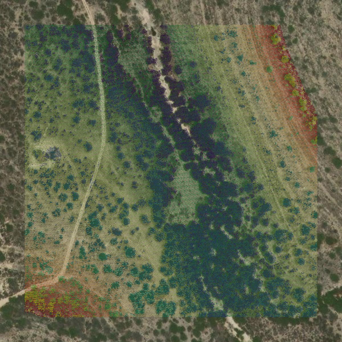 This image shows a LiDAR point cloud in Terrell County created using GIS data in Equator.