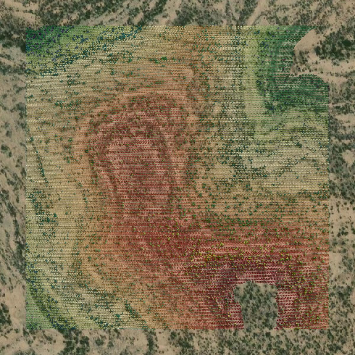 This image shows a LiDAR point cloud in Terrell County created using GIS data in Equator.