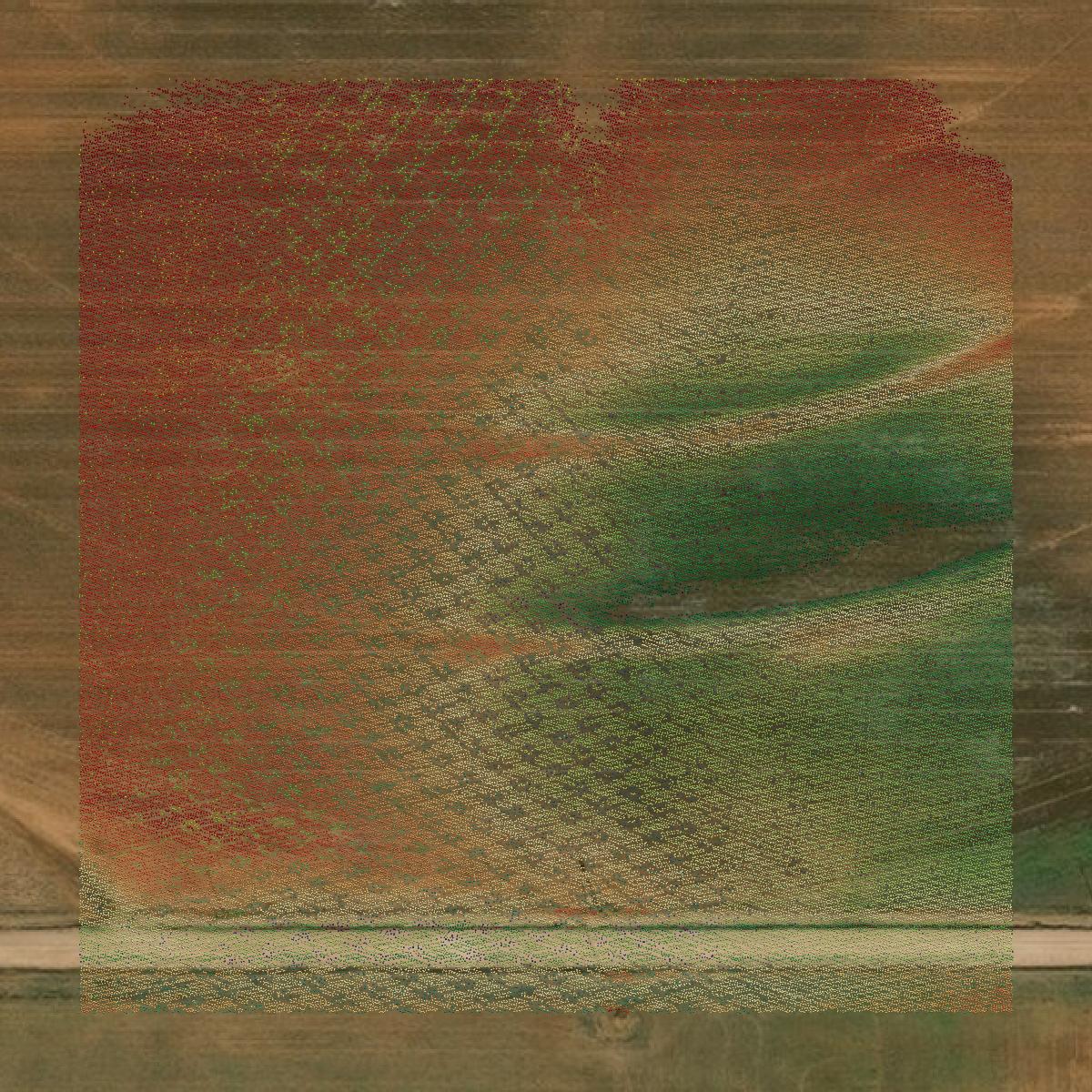 This image shows a LiDAR point cloud in Terry County created using GIS data in Equator.