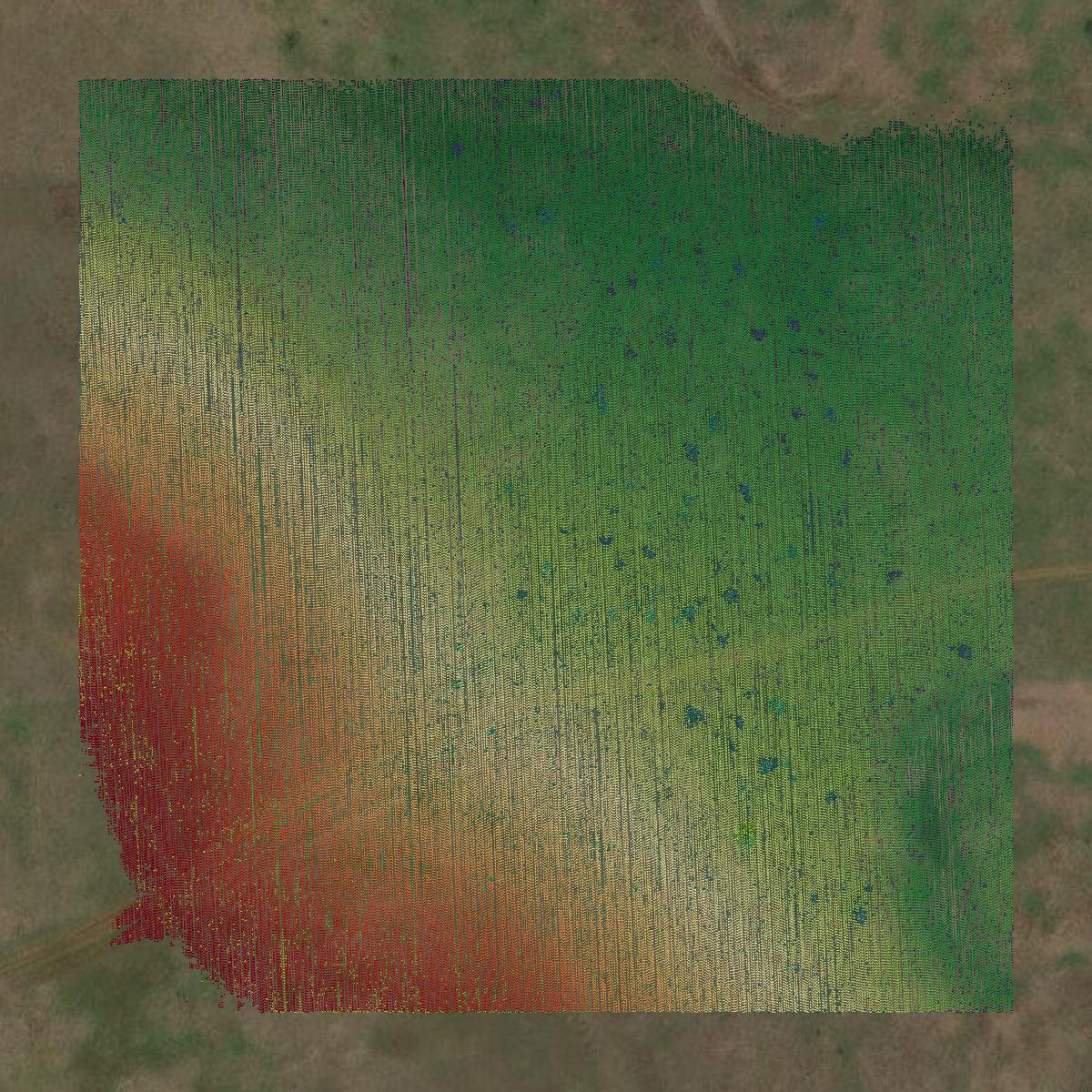 This image shows a LiDAR point cloud in Throckmorton County created using GIS data in Equator.