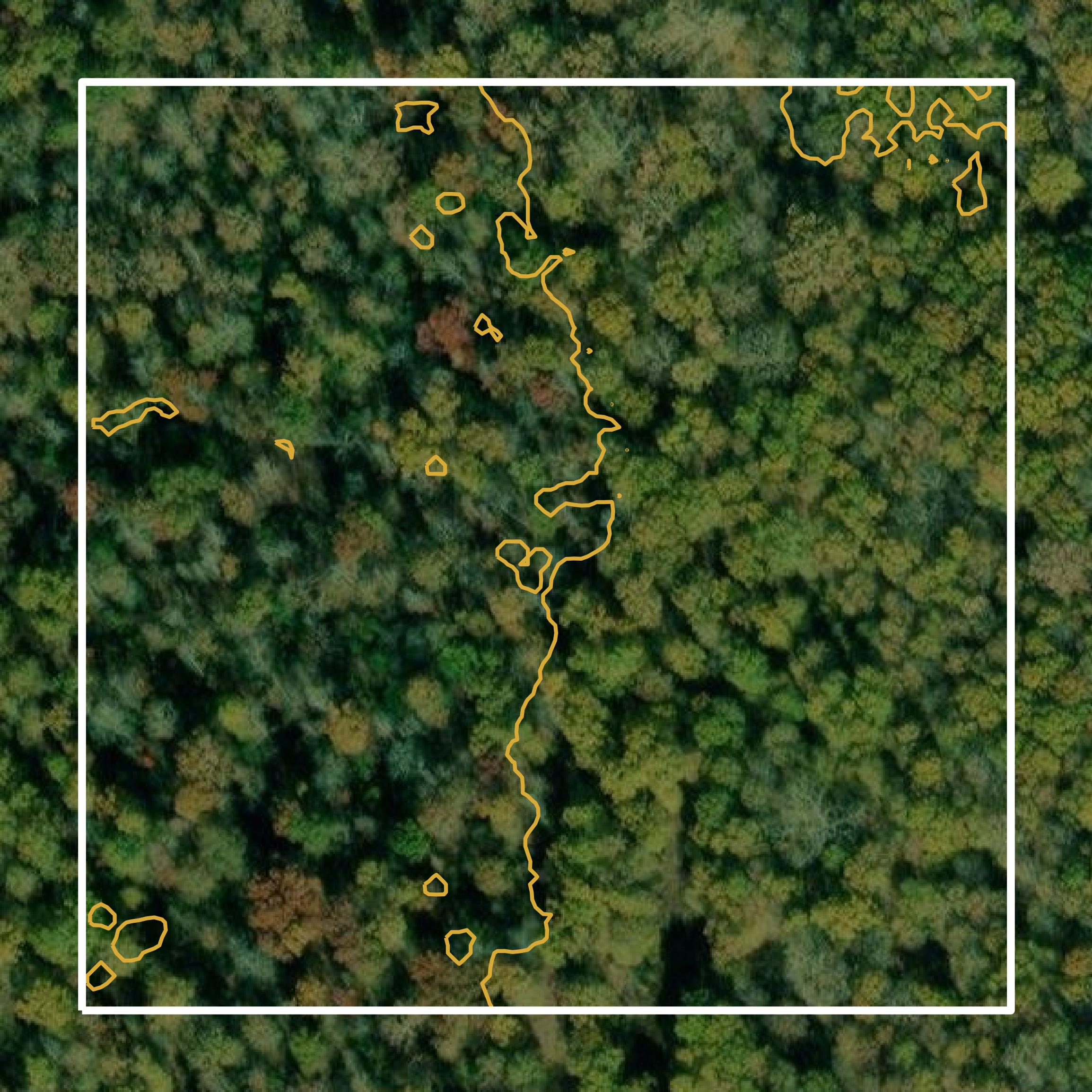 This image shows a contour map in Titus County created using GIS data in Equator.