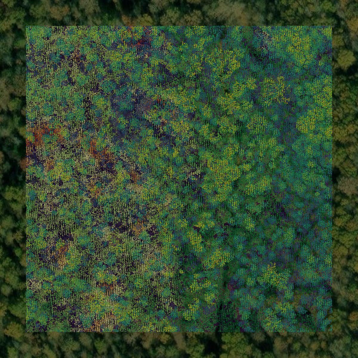 This image shows a LiDAR point cloud in Titus County created using GIS data in Equator.