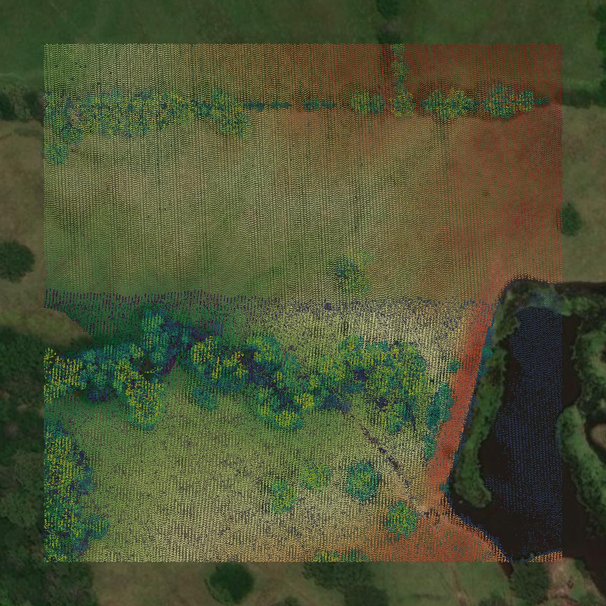 This image shows a LiDAR point cloud in Titus County created using GIS data in Equator.