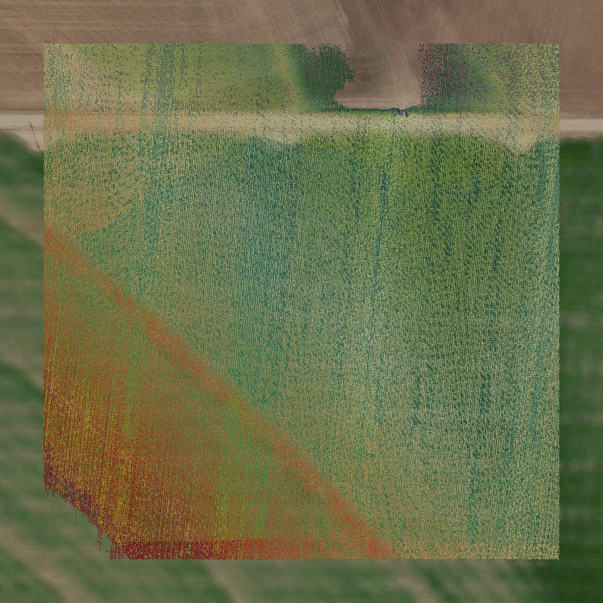 This image shows a LiDAR point cloud in Tom Green County created using GIS data in Equator.