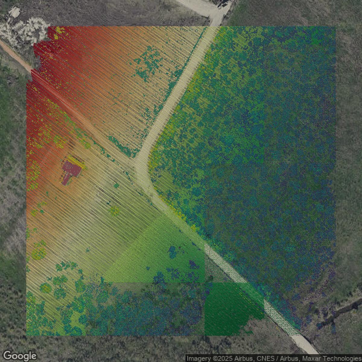This image shows a LiDAR point cloud in Travis County created using GIS data in Equator.