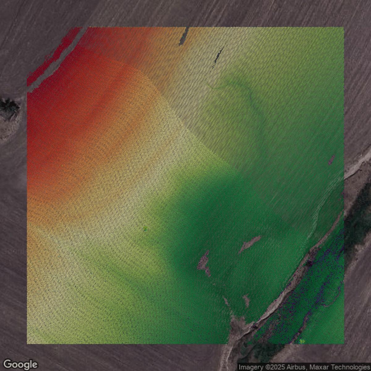 This image shows a LiDAR point cloud in Travis County created using GIS data in Equator.