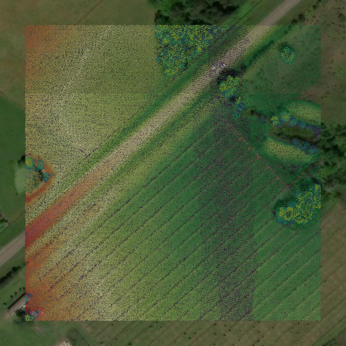 This image shows a LiDAR point cloud in Trinity County created using GIS data in Equator.