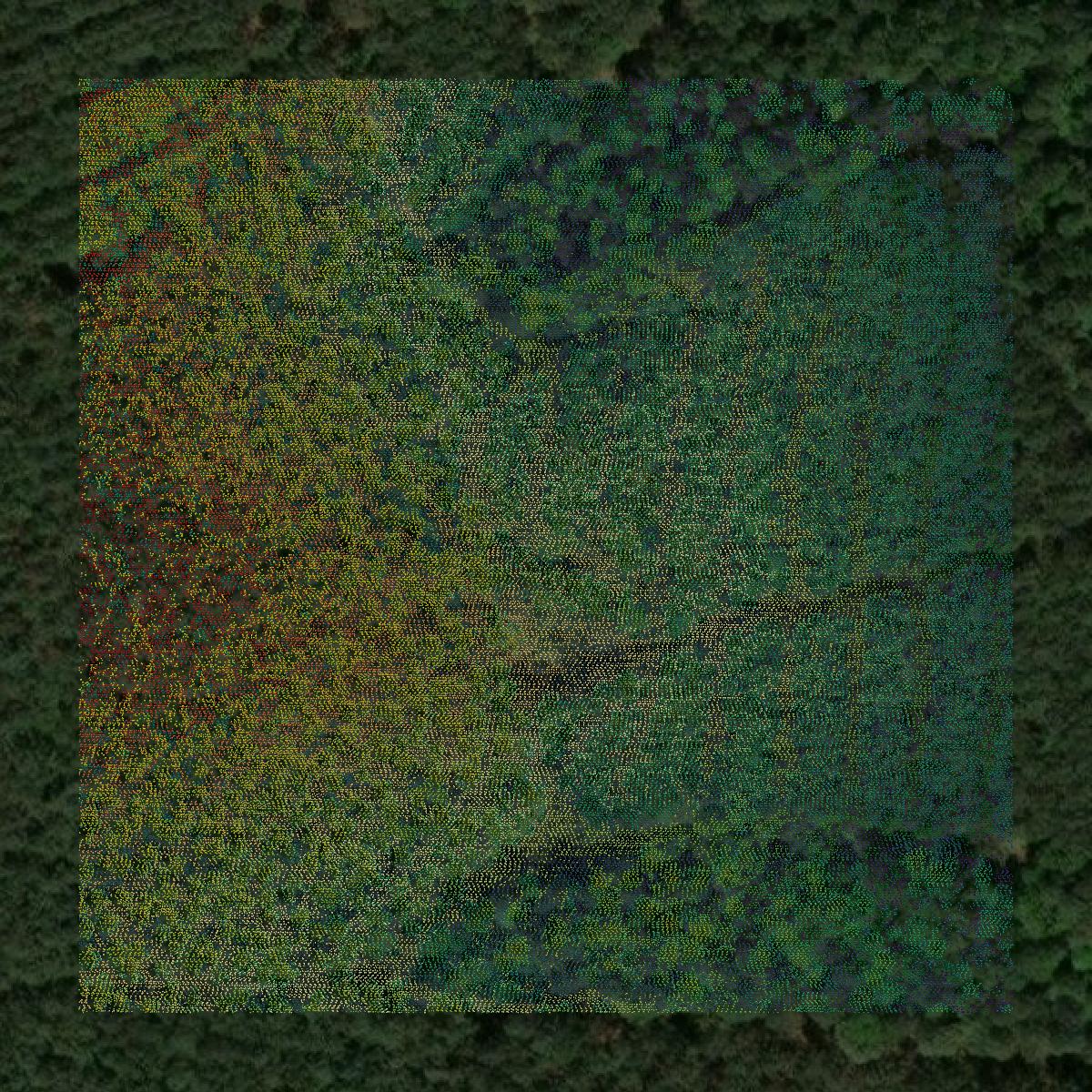 This image shows a LiDAR point cloud in Trinity County created using GIS data in Equator.