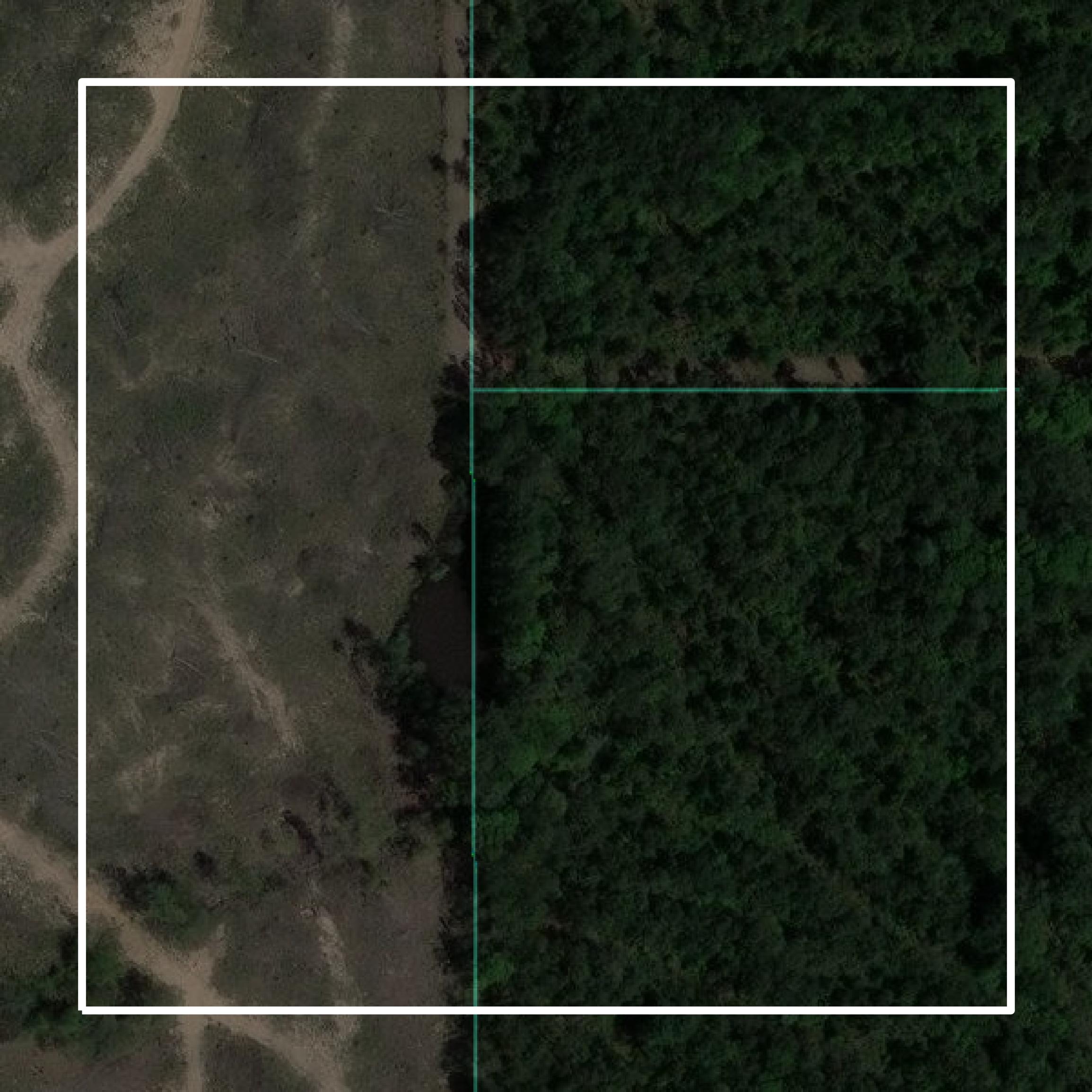 This image shows parcel and building data in Tyler County created using GIS data in Equator.