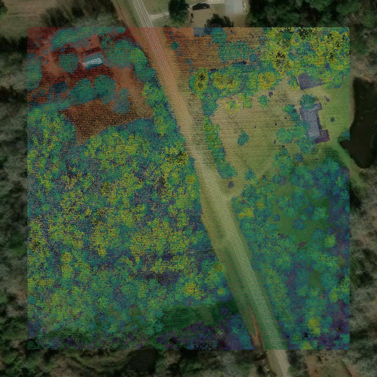 This image shows a LiDAR point cloud in Tyler County created using GIS data in Equator.