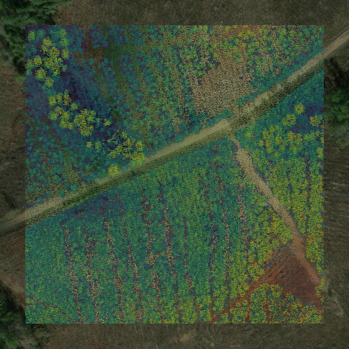This image shows a LiDAR point cloud in Tyler County created using GIS data in Equator.