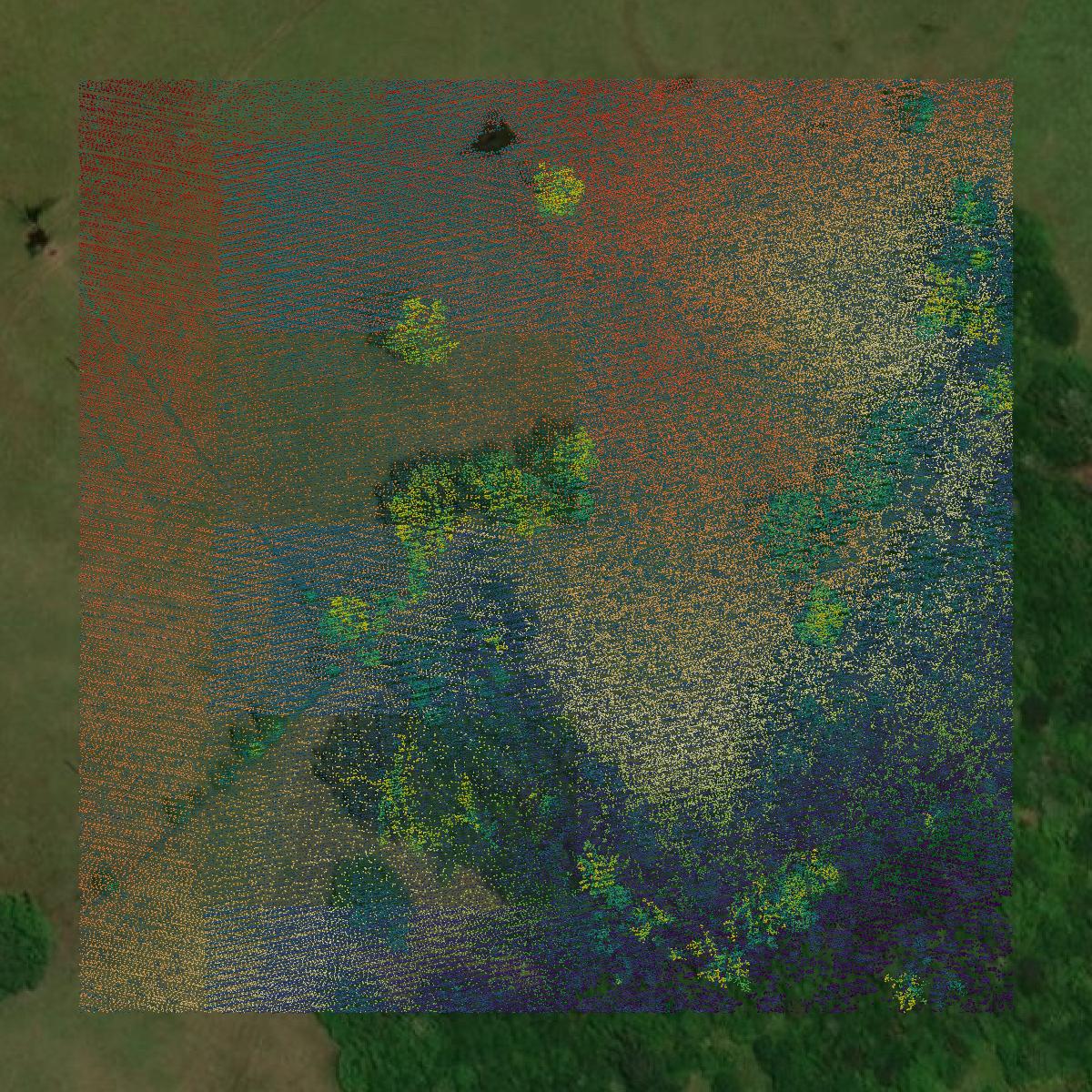 This image shows a LiDAR point cloud in Upshur County created using GIS data in Equator.