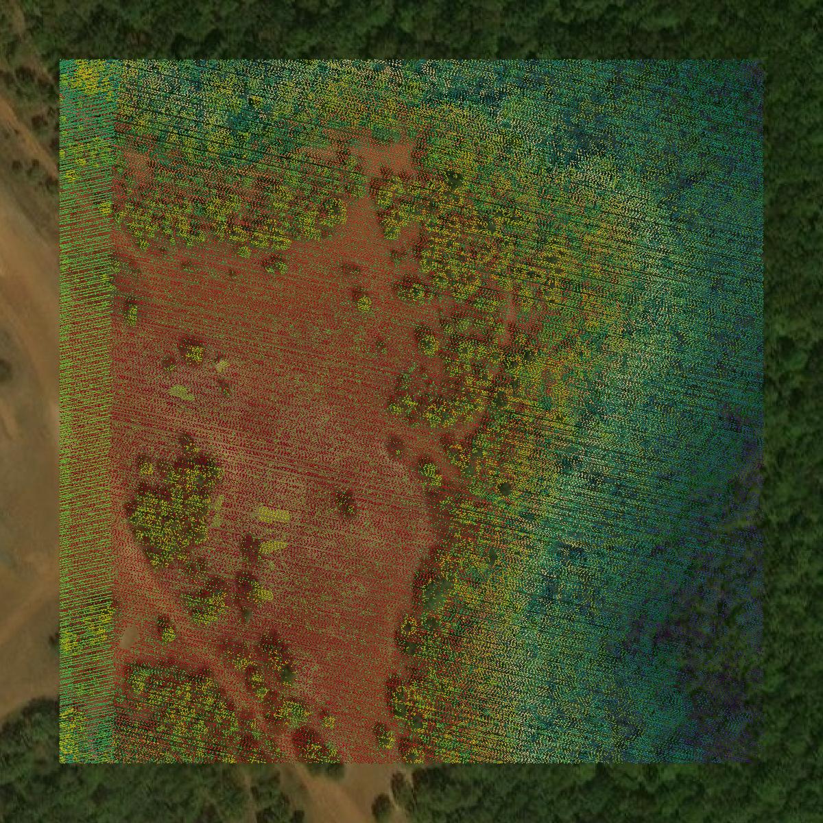 This image shows a LiDAR point cloud in Upshur County created using GIS data in Equator.