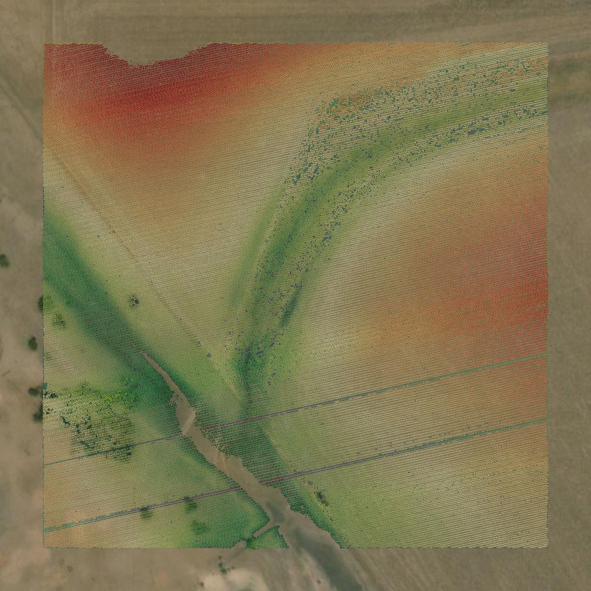 This image shows a LiDAR point cloud in Uvalde County created using GIS data in Equator.
