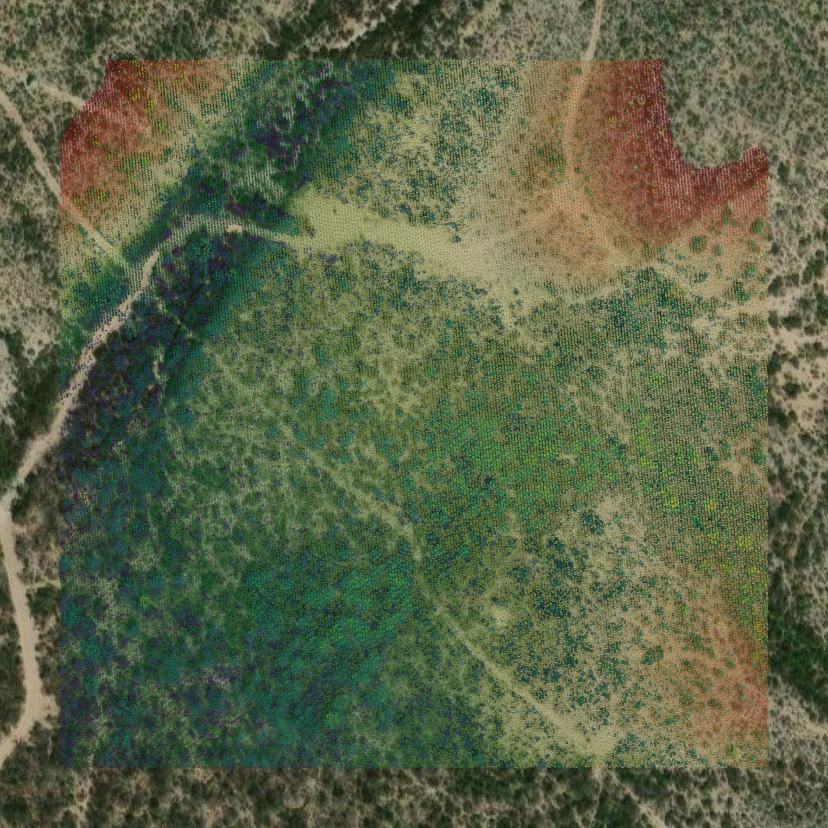 This image shows a LiDAR point cloud in Val Verde County created using GIS data in Equator.
