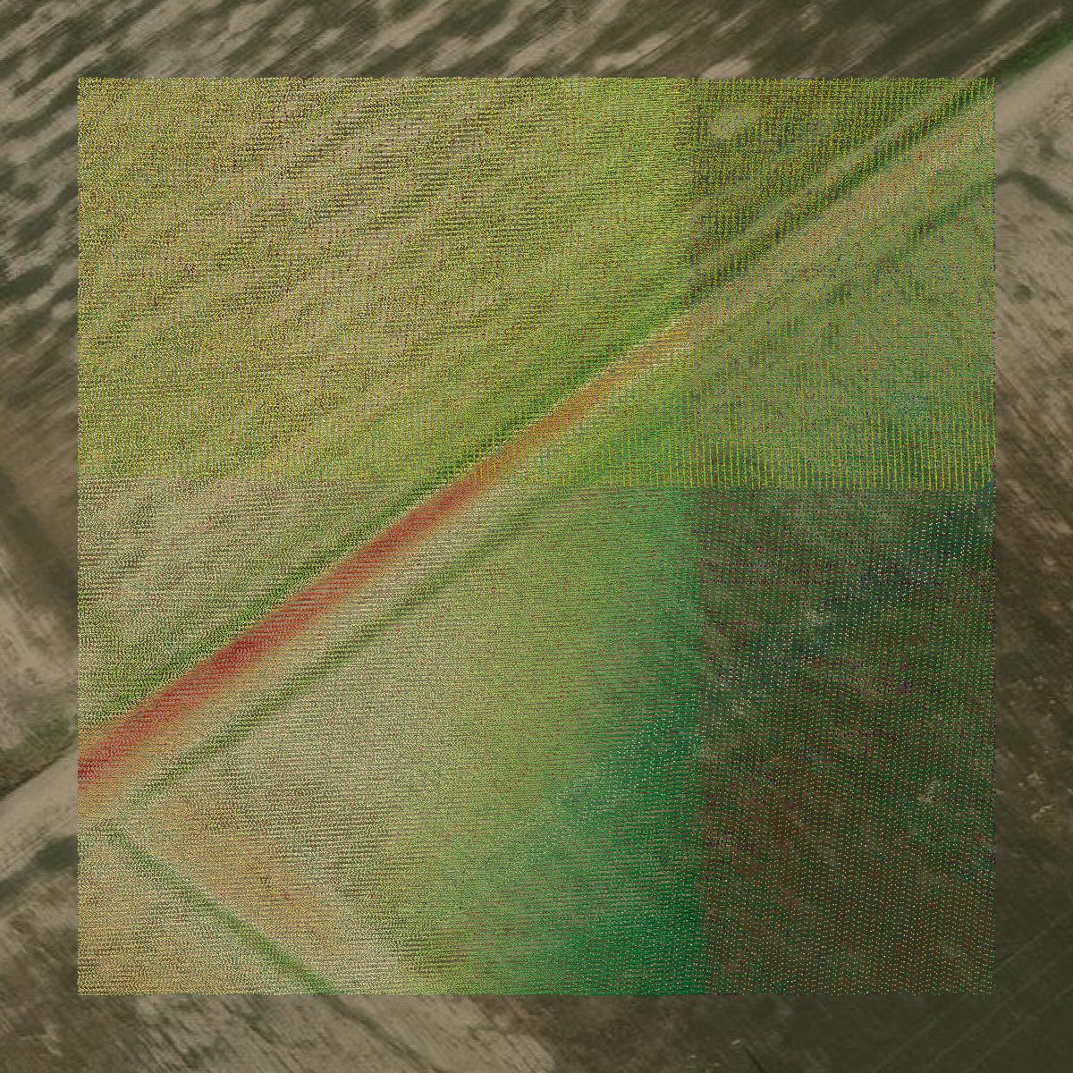 This image shows a LiDAR point cloud in Victoria County created using GIS data in Equator.