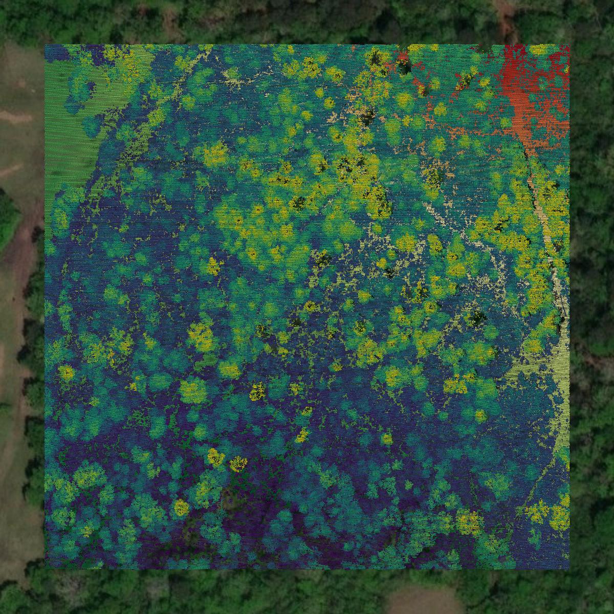 This image shows a LiDAR point cloud in Walker County created using GIS data in Equator.