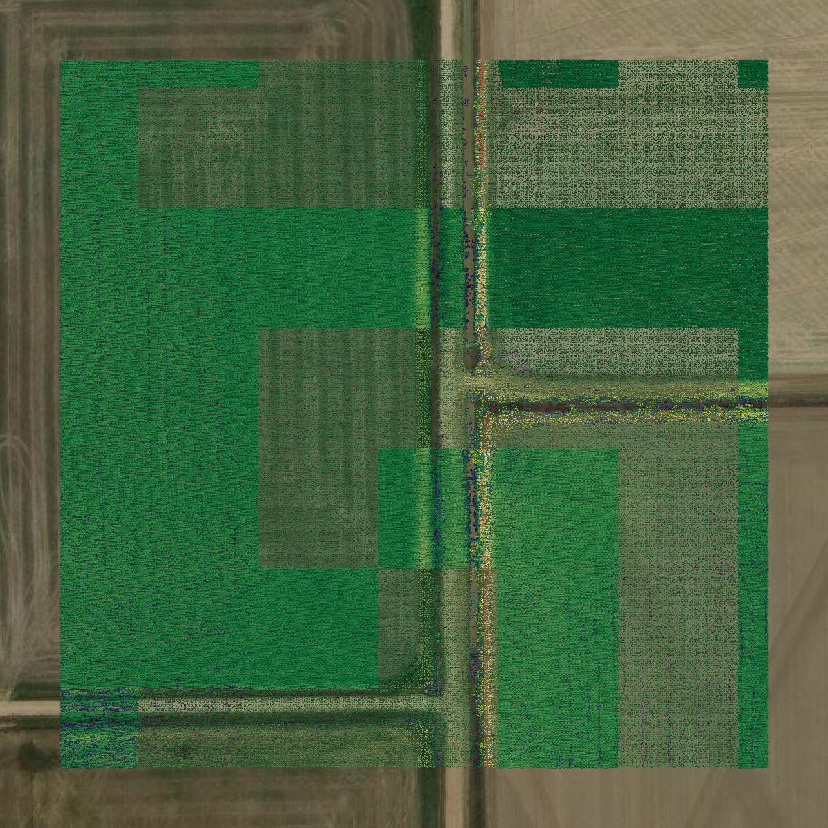 This image shows a LiDAR point cloud in Waller County created using GIS data in Equator.