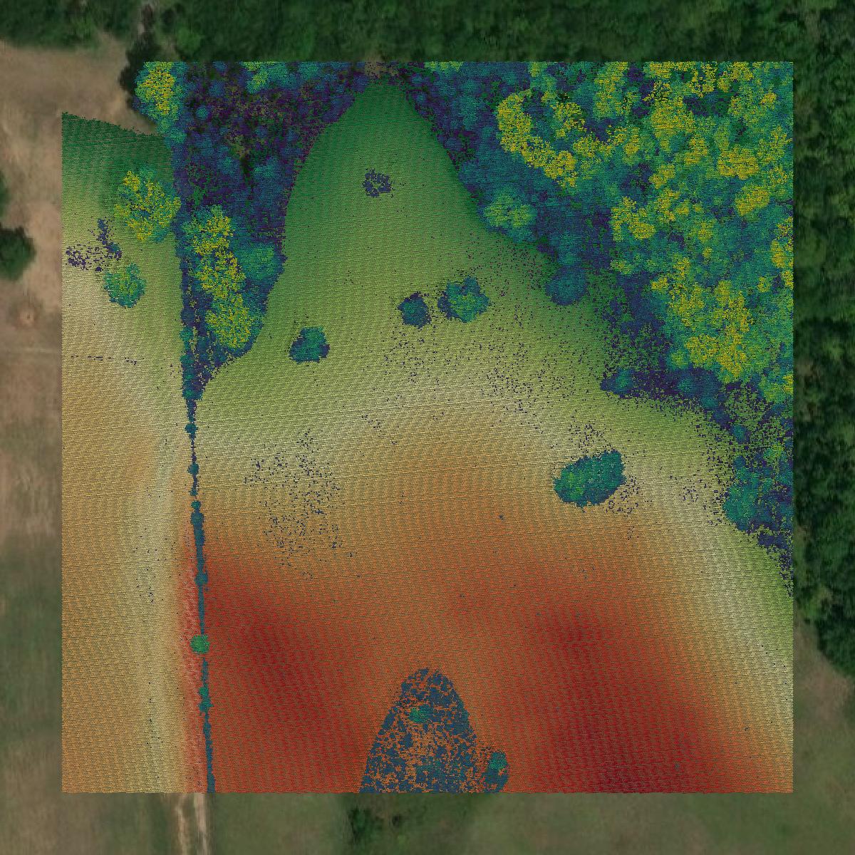 This image shows a LiDAR point cloud in Waller County created using GIS data in Equator.