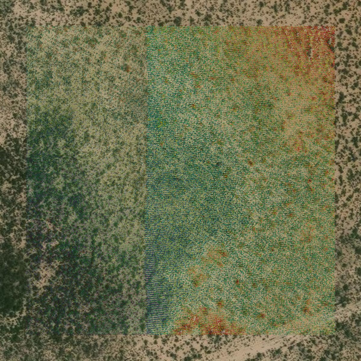 This image shows a LiDAR point cloud in Ward County created using GIS data in Equator.