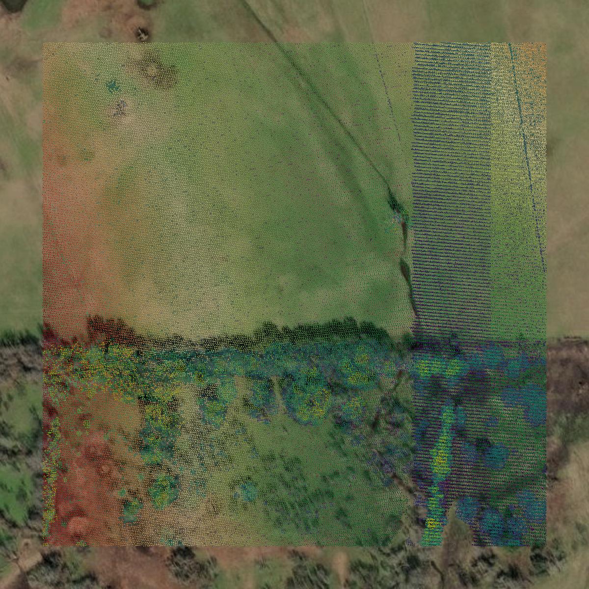 This image shows a LiDAR point cloud in Washington County created using GIS data in Equator.
