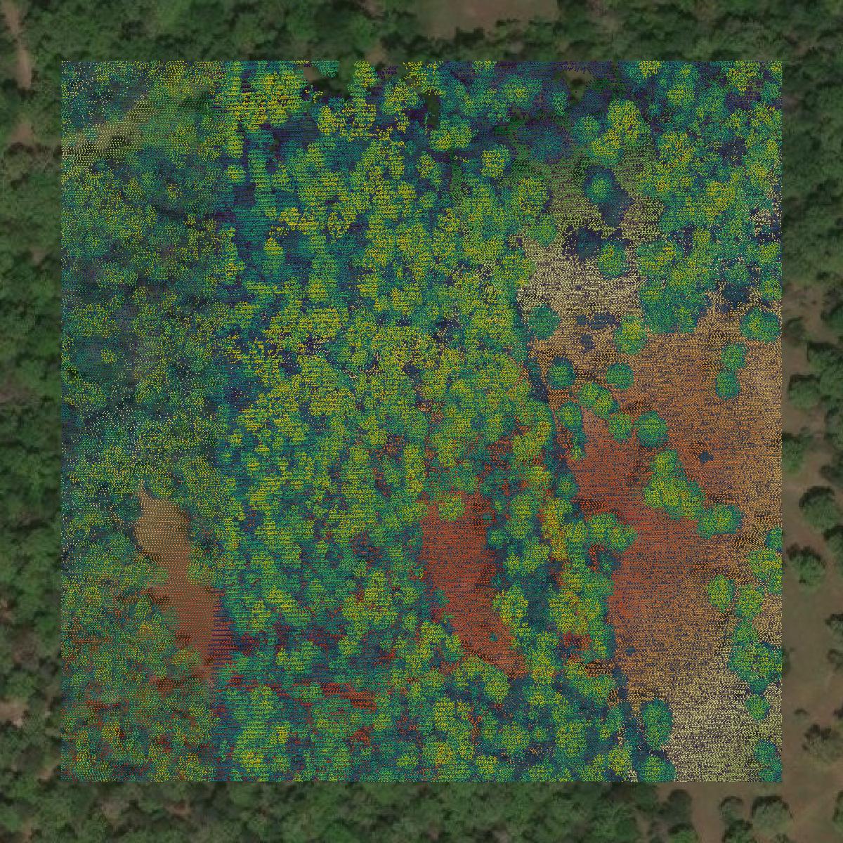 This image shows a LiDAR point cloud in Washington County created using GIS data in Equator.