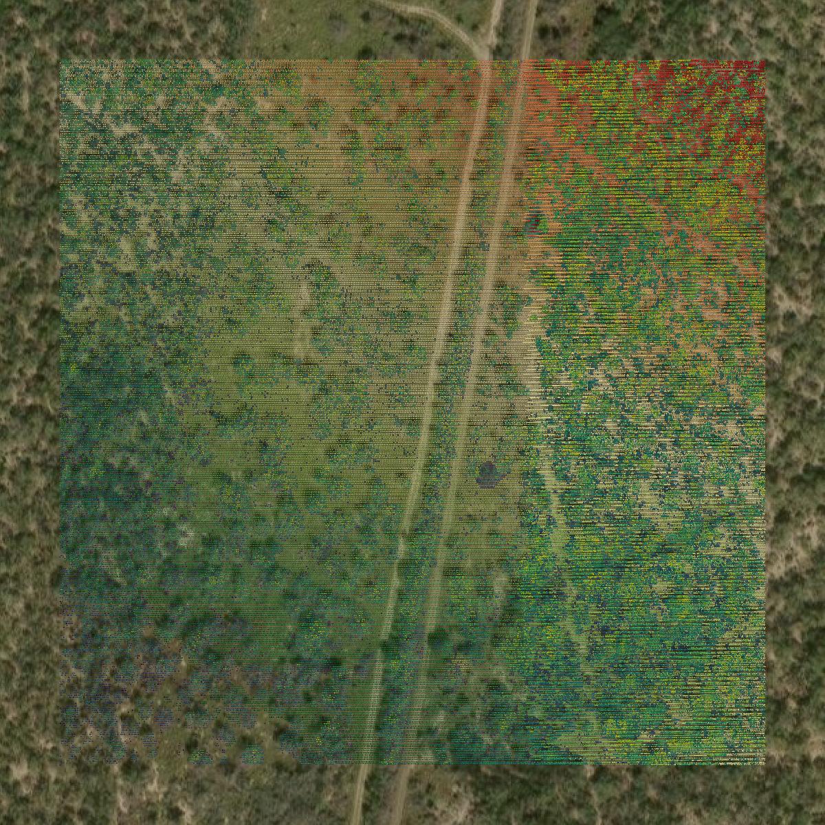 This image shows a LiDAR point cloud in Webb County created using GIS data in Equator.