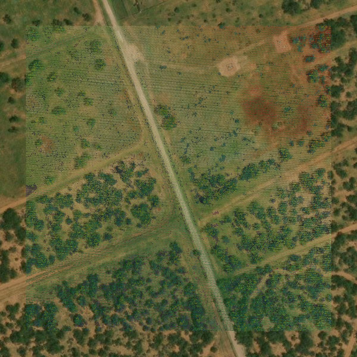 This image shows a LiDAR point cloud in Webb County created using GIS data in Equator.