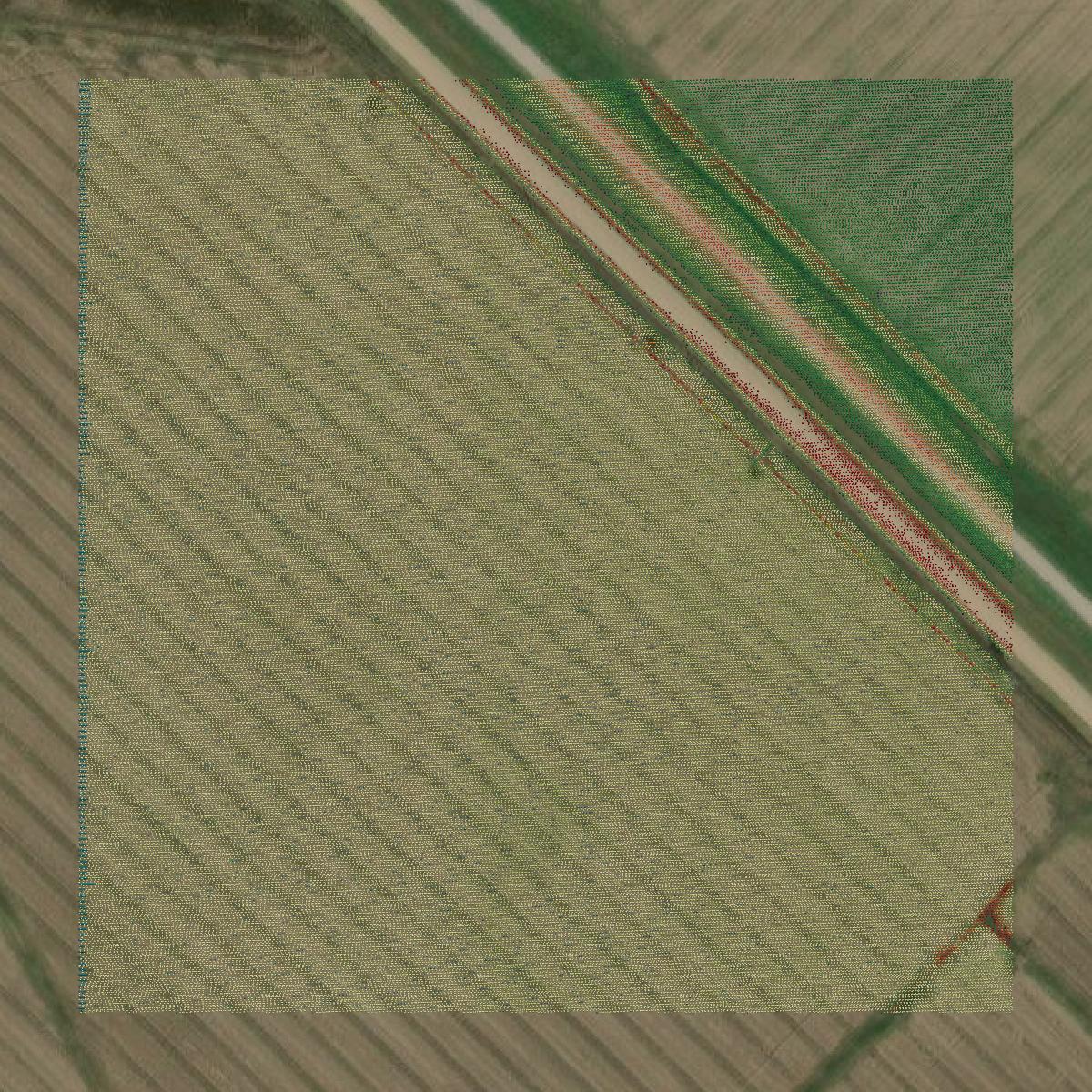 This image shows a LiDAR point cloud in Wharton County created using GIS data in Equator.