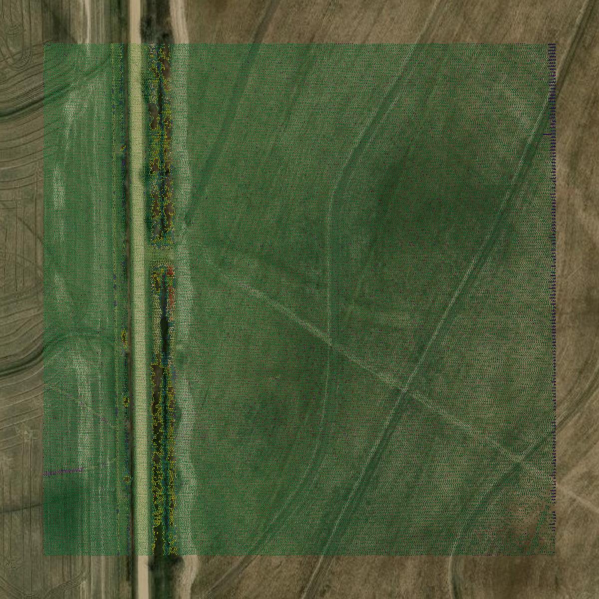 This image shows a LiDAR point cloud in Wharton County created using GIS data in Equator.