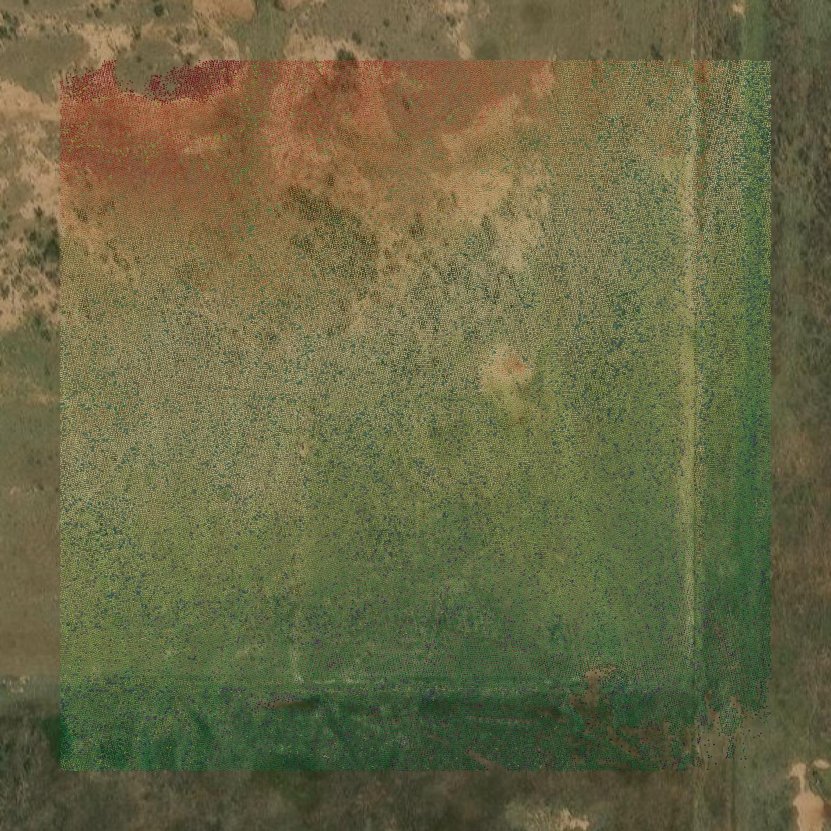 This image shows a LiDAR point cloud in Wichita County created using GIS data in Equator.