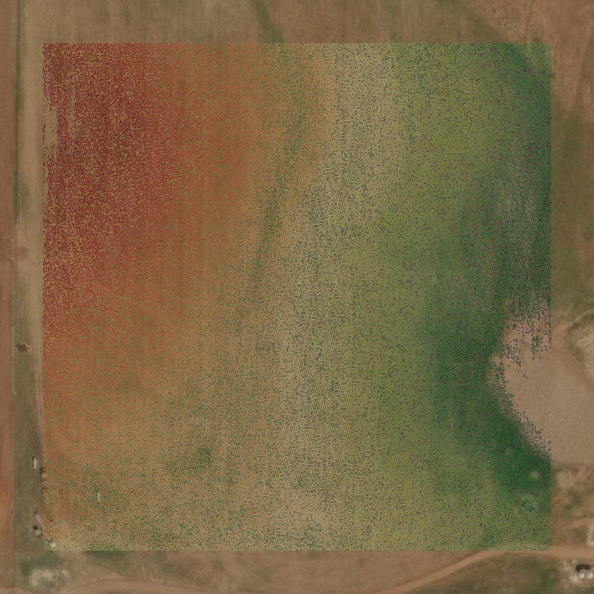 This image shows a LiDAR point cloud in Wichita County created using GIS data in Equator.