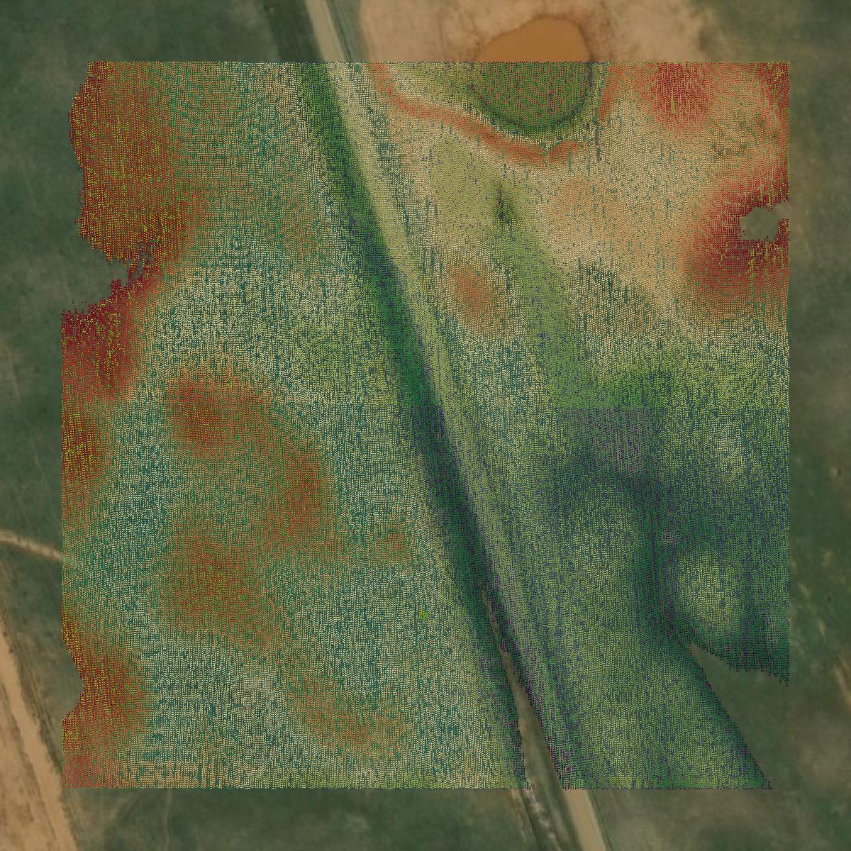 This image shows a LiDAR point cloud in Wilbarger County created using GIS data in Equator.