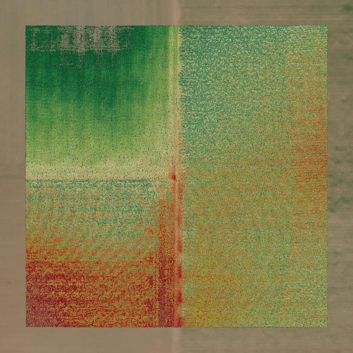 This image shows a LiDAR point cloud in Willacy County created using GIS data in Equator.