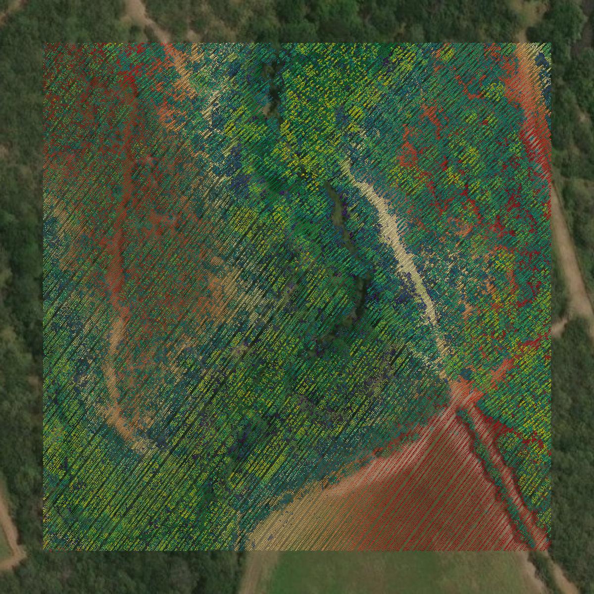 This image shows a LiDAR point cloud in Wilson County created using GIS data in Equator.