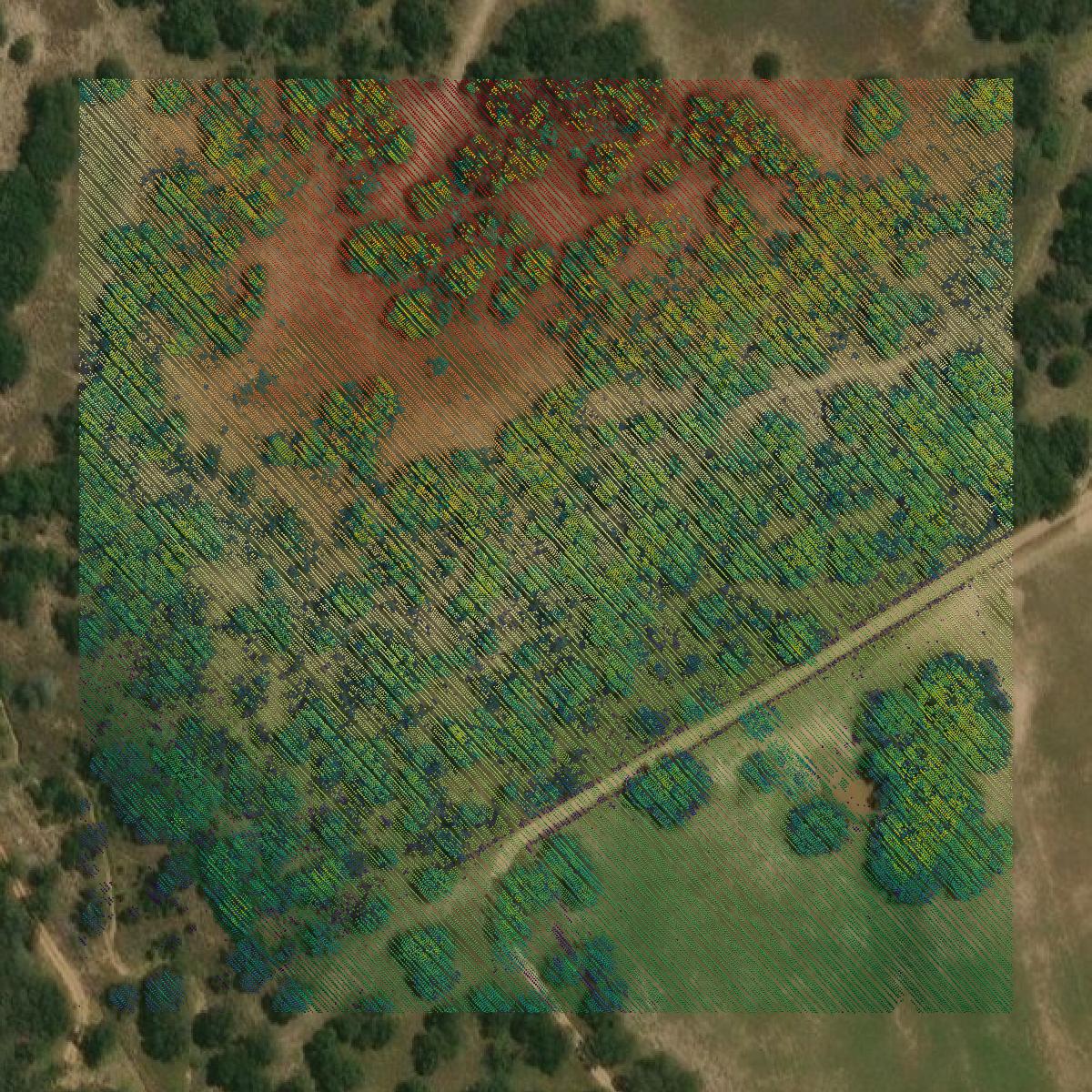 This image shows a LiDAR point cloud in Wilson County created using GIS data in Equator.